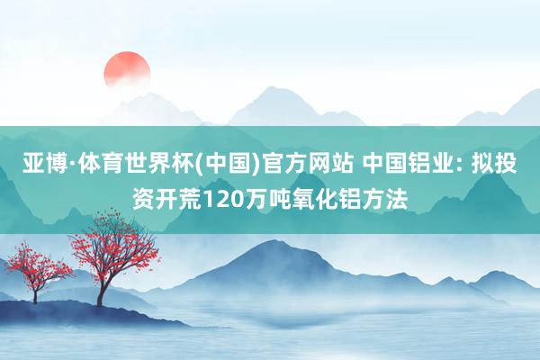亚博·体育世界杯(中国)官方网站 中国铝业: 拟投资开荒120万吨氧化铝方法