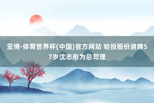 亚博·体育世界杯(中国)官方网站 哈投股份遴聘57岁沈志彤为总司理
