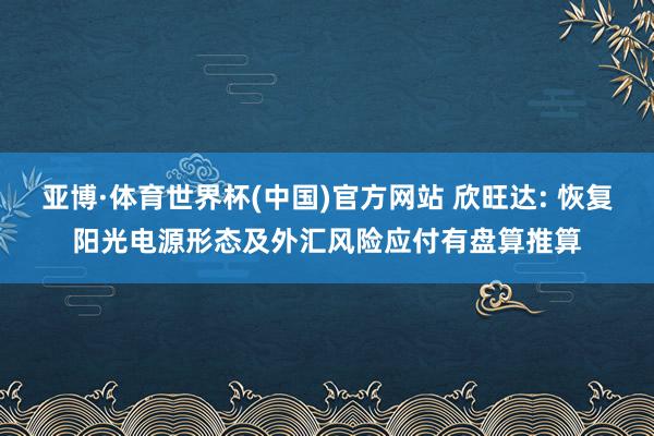 亚博·体育世界杯(中国)官方网站 欣旺达: 恢复阳光电源形态及外汇风险应付有盘算推算