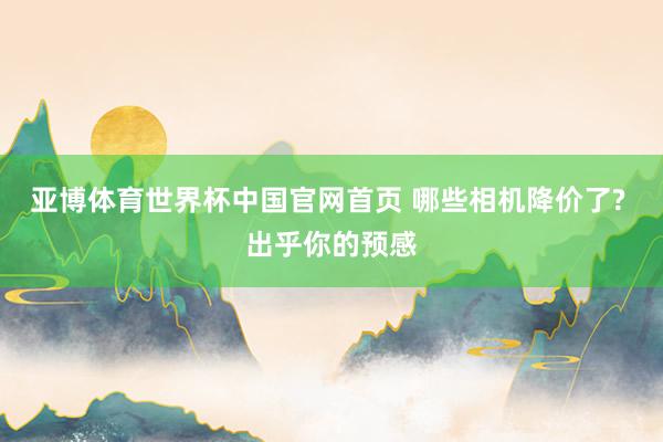 亚博体育世界杯中国官网首页 哪些相机降价了? 出乎你的预感