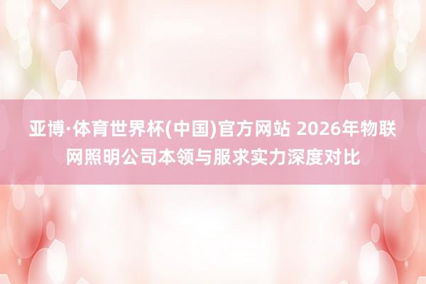 亚博·体育世界杯(中国)官方网站 2026年物联网照明公司本领与服求实力深度对比
