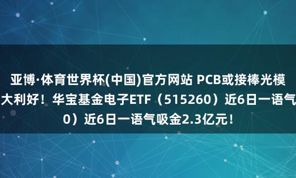 亚博·体育世界杯(中国)官方网站 PCB或接棒光模块？果链迎两大利好！华宝基金电子ETF（515260）近6日一语气吸金2.3亿元！