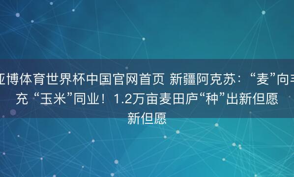 亚博体育世界杯中国官网首页 新疆阿克苏：“麦”向丰充 “玉米”同业！1.2万亩麦田庐“种”出新但愿