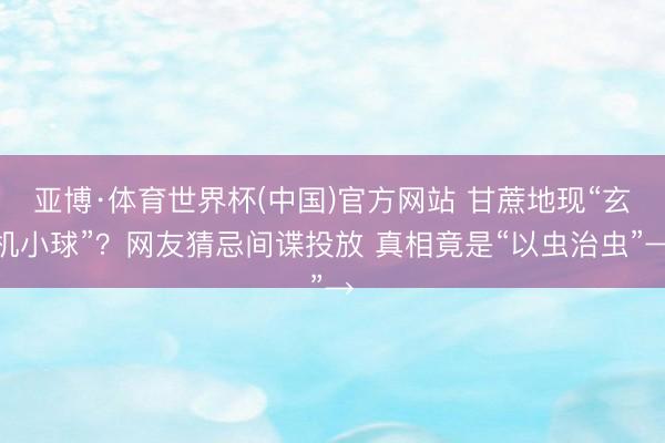 亚博·体育世界杯(中国)官方网站 甘蔗地现“玄机小球”？网友猜忌间谍投放 真相竟是“以虫治虫”→