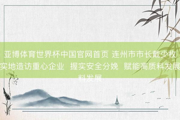 亚博体育世界杯中国官网首页 连州市市长戴少枚实地造访重心企业  握实安全分娩  赋能高质料发展
